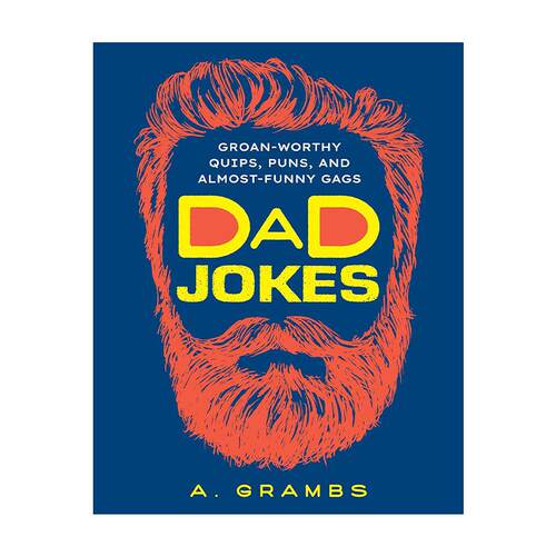 英文原版 Dad Jokes 冷笑话 双关语 文字笑话 英文版 进口英语原版书籍