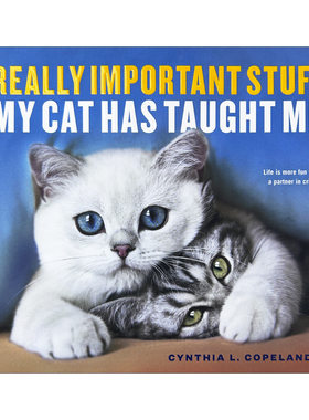 Really Important Stuff My Cat Has Taught Me 猫教会我的那些重要事情