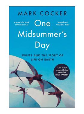 英文原版 One Midsummer's Day 仲夏雨燕 连接地球生命的奇妙纽带 英文版 进口英语原版书籍
