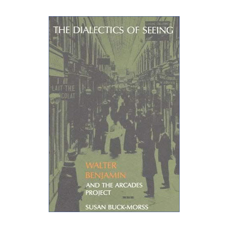 英文原版 The Dialectics of Seeing The MIT Press观看的辩证法瓦尔特·本雅明哲学 Susan Buck-Morss英文版进口英语原版书籍