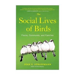 英文原版 The Social Lives of Birds 鸟类的社会生活 鸟群 公社和家庭 观鸟 科普指南 Joan E. Strassmann 精装 进口英语原版书籍
