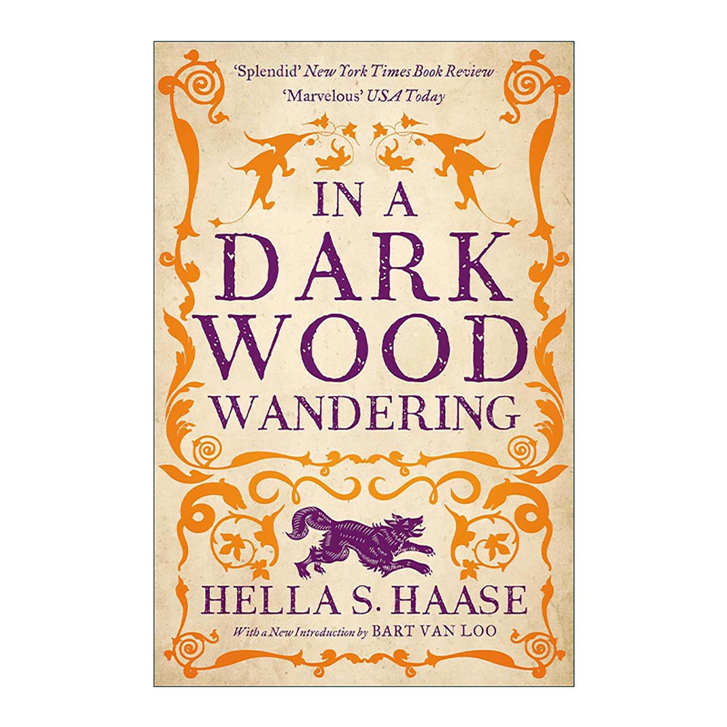 英文原版 In a Dark Wood Wandering 漫步暗林中 荷兰作家Hella S. Haasse 经典中世纪背景历史小说 英文版 进口英语原版书籍