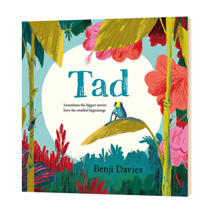 本吉戴维斯绘本 Benji Davies 小蝌蚪达德 英文原版 青蛙达德 大开本 低幼成长早教启蒙故事绘本 Tad