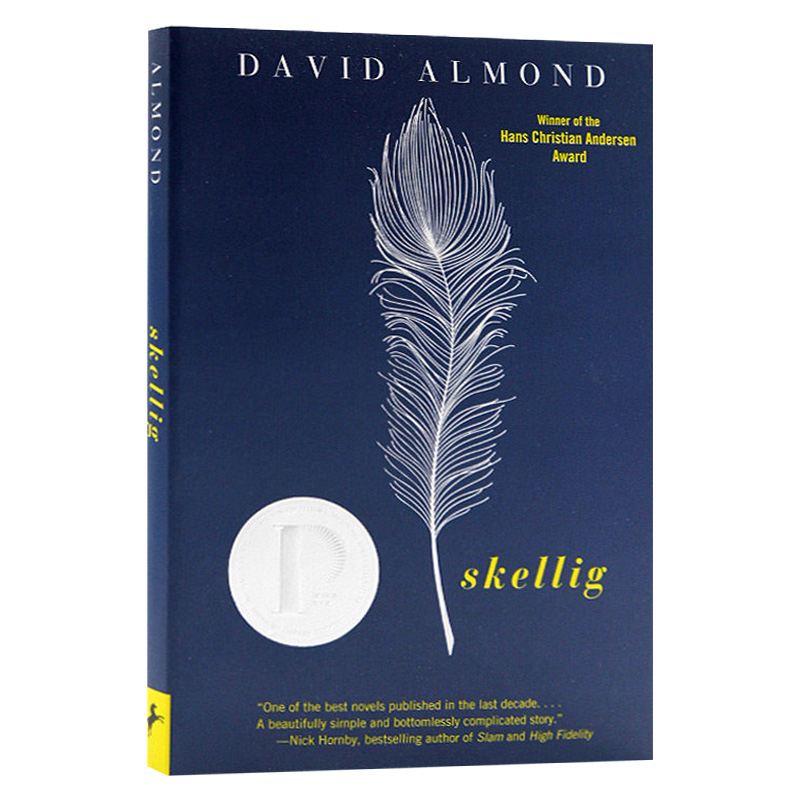 当天使坠落人间 Skellig 英文原版小说 普林兹文学奖 英文版青少年英语课外阅读 David Almond 戴维阿蒙德 进口原版书籍