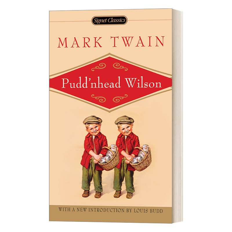 傻瓜威尔逊马克吐温英文版小说