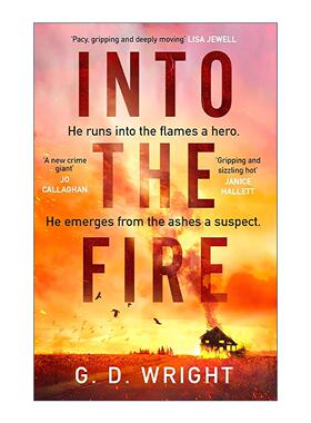 英文原版 Into the Fire 火海危机 G. D. Wright 畅销犯罪悬疑小说 英文版 进口英语原版书籍