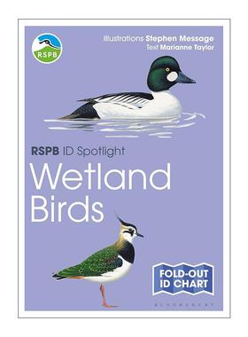 英文原版 RSPB ID Spotlight Wetland Birds 湿地鸟类观赏指南图表 英文版 进口英语原版书籍