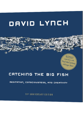 钓大鱼 十周年纪念版 Catching the Big Fish  大卫·林奇的创意之道 David Lynch英文原版社科读物 进口英语书籍