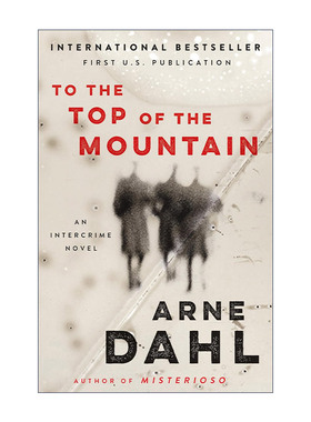 To the Top of the Mountain 到山顶去 犯罪推理小说 Arne Dahl