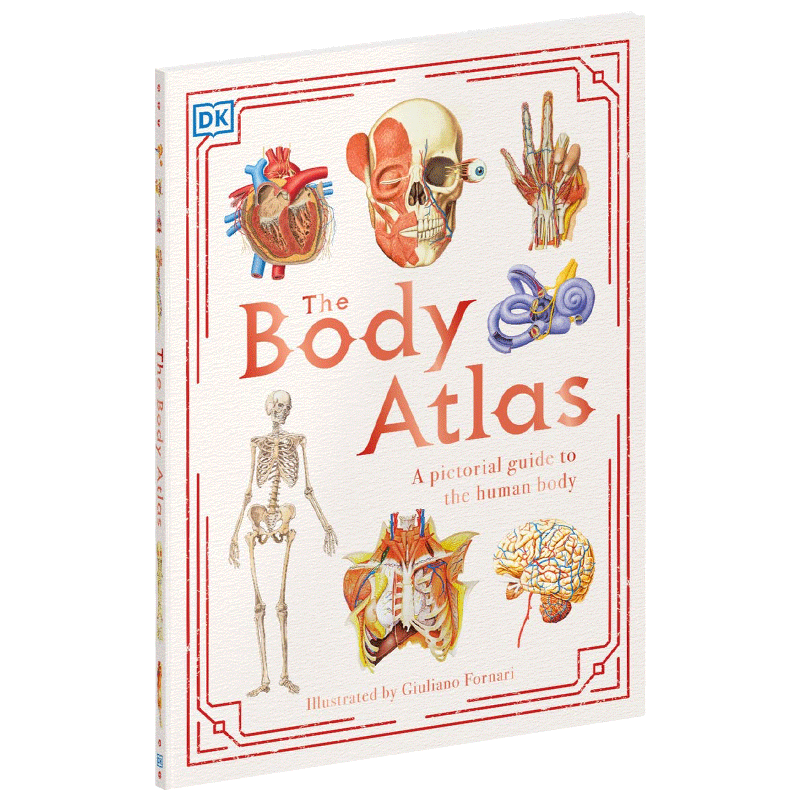 身体图集 探索人体奥秘 人体图解百科 英文原版 The Body Atlas DK 少儿英语科普读物 英文版进口原版书籍