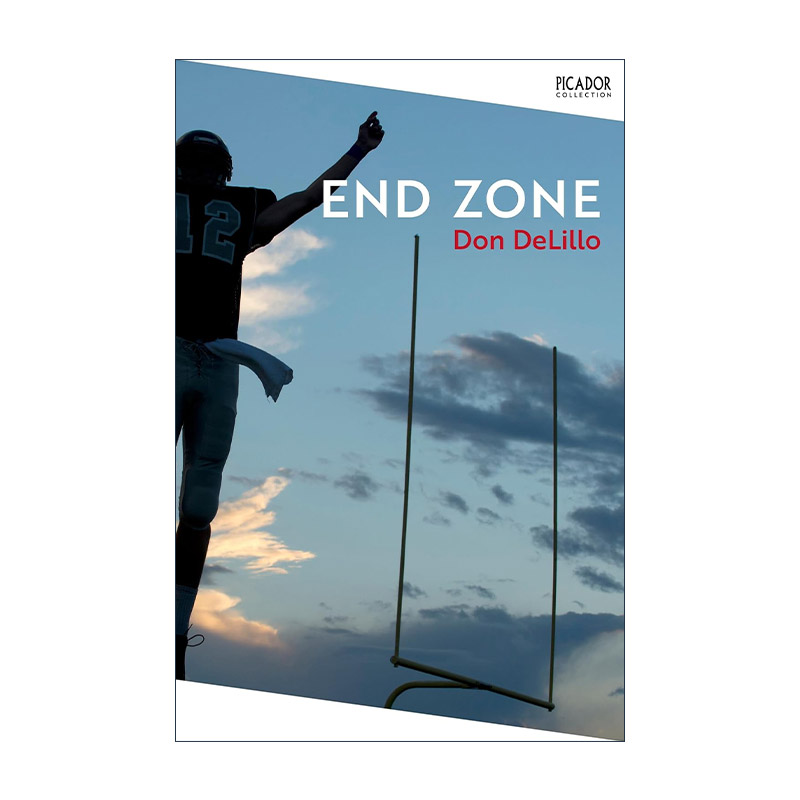 英文原版 End Zone 球门区 美国国家图书奖得主唐·德里罗 DeLillo Don 英文版 进口英语原版书籍