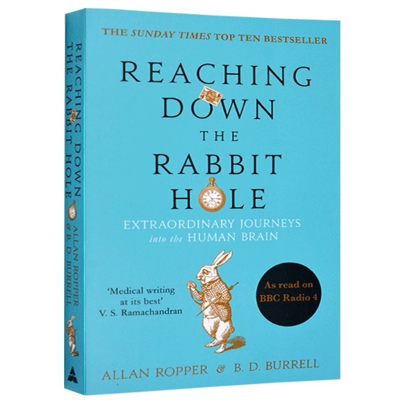 掉进兔子洞 人脑的奇妙之旅 Reaching Down the Rabbit Hole Journeys into the Human Brain 英文原版生活科普 进口英语书
