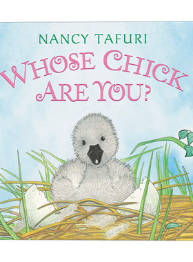 Whose Chick Are You? 你是谁的小宝宝 凯迪克大奖作家Nancy Tafuri 纸板书绘本