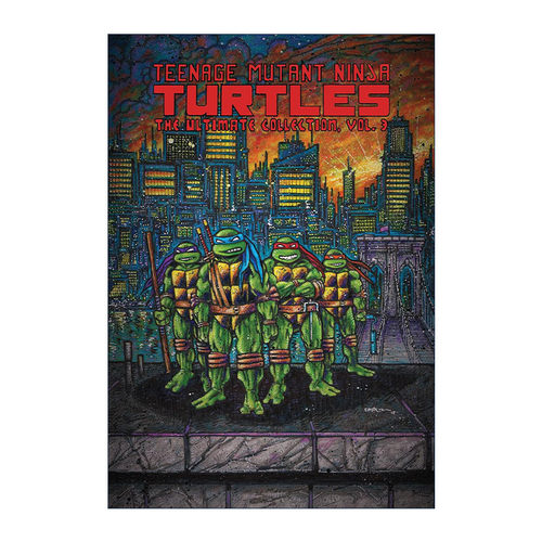 英文原版 Teenage Mutant Ninja Turtles The Ultimate Collection Vol.3 忍者神龟 终极收藏版 卷三 IDW漫画 Kevin Eastman