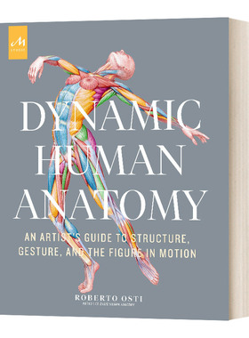 动态人体解剖学 精装 Dynamic Human Anatomy 英文原版绘画技巧 艺用解剖 人体动态绘画入门 进口艺术英语书籍