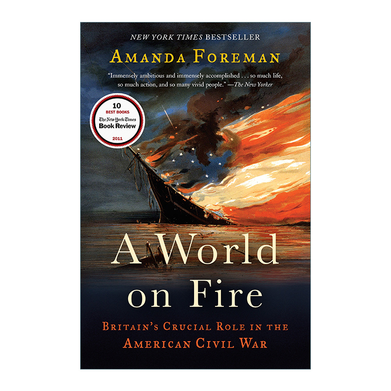 A World on Fire 燃烧的世界 英国在美国内战中的关键作用 历史 Amanda Foreman 英文原版历史读物