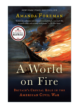 A World on Fire 燃烧的世界 英国在美国内战中的关键作用 历史 Amanda Foreman 英文原版历史读物