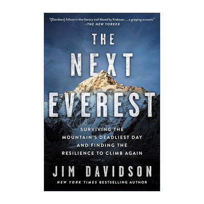 英文原版 The Next Everest 下一个珠穆朗玛 雪崩后在珠峰幸存的登山者传记 Jim Davidson 英文版 进口英语原版书籍