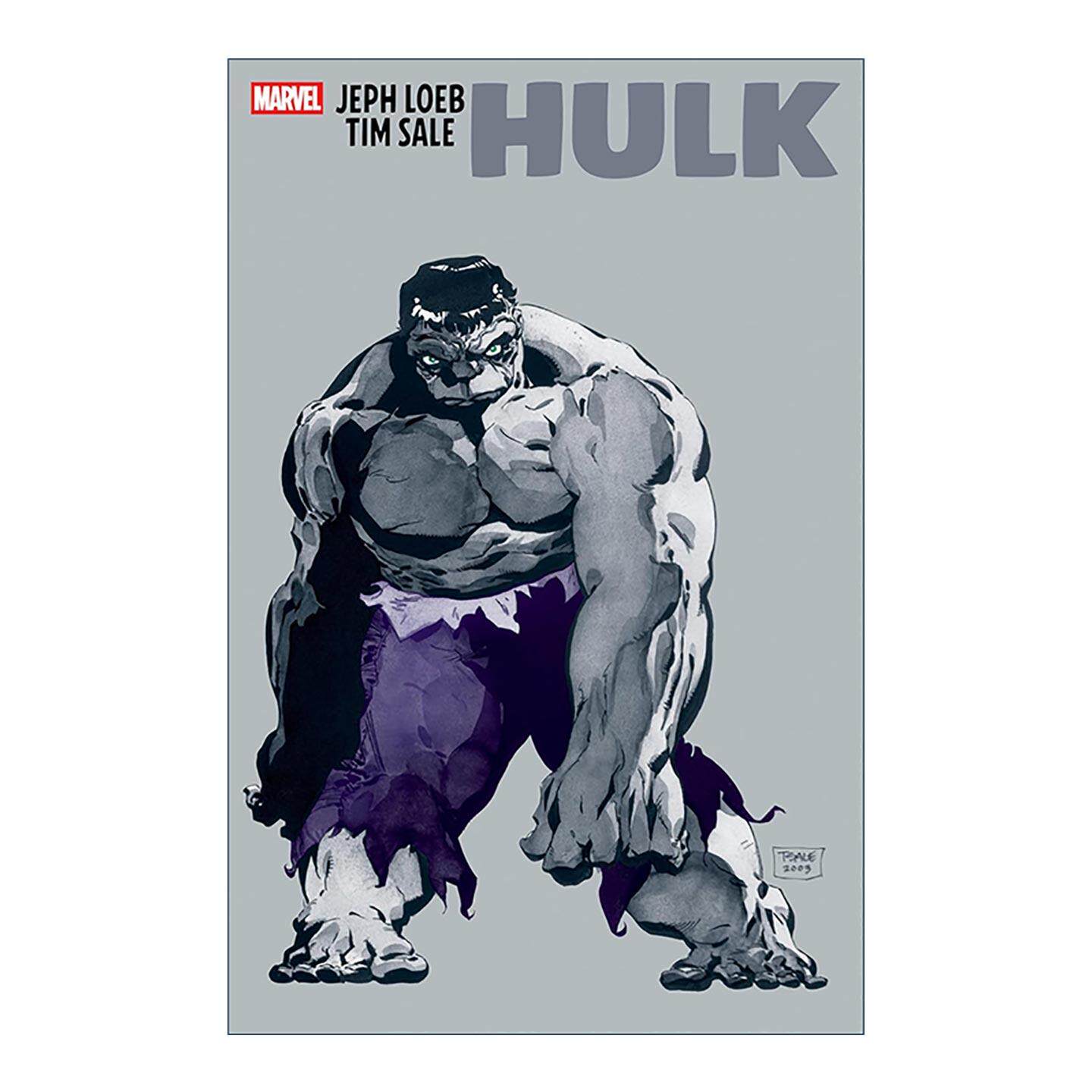 英文原版 Jeph Loeb & Tim Sale Hulk 绿巨人 浩克 漫威漫画 英文版 进口英语原版书籍