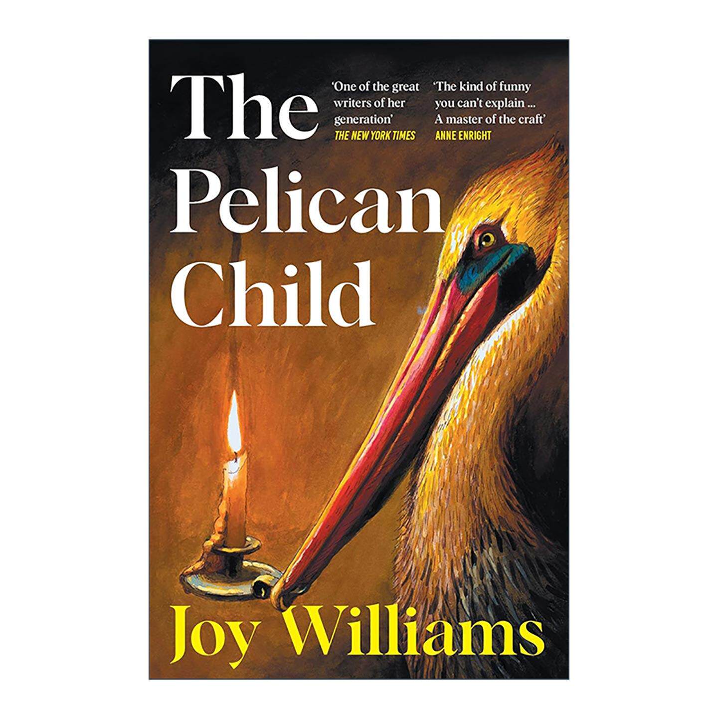 英文原版 Pelican Child 鹈鹕之子 美国当代短篇小说大师 Joy Williams 2025美国国家图书奖提名 英文版 进口英语原版书籍