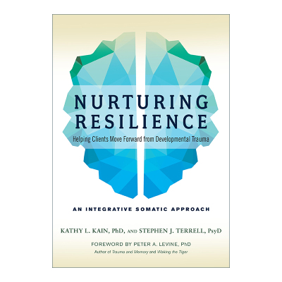 Nurturing Resilience 培养复原力 心理创伤恢复 PTSD 综合指南 Kathy L. Kain