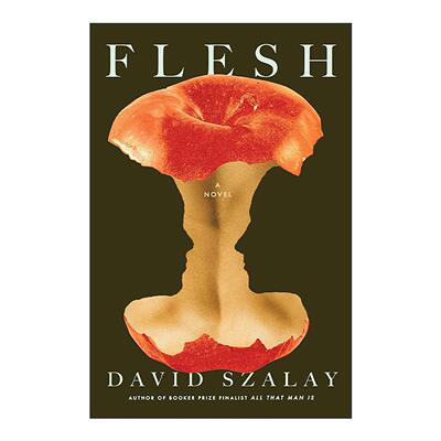 英文原版 Flesh 英文版 进口英语原版书籍