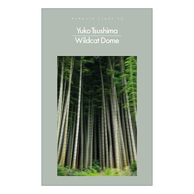 英文原版 Wildcat Dome 野猫穹顶 津岛佑子 英文版 进口英语原版书籍