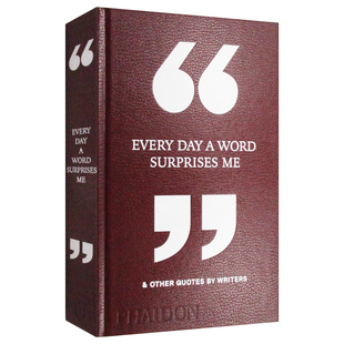 每天让我惊叹的一句话以及其他作家的引述 精装 Every Day a Word Surprises Me 英文原版艺术读物 进口英语书籍