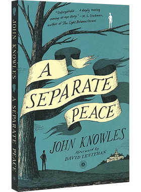 独自和解 英文原版青春小说 A Separate Peace 一个人的和平 全英文版进口英语书籍 另一种和平 电影原著 媲美麦田里的守望者