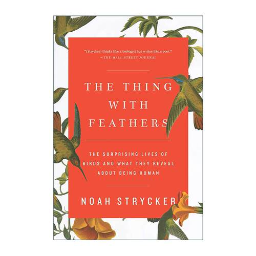 英文原版 The Thing with Feathers 像鸟一样思考 鸟儿的奇想生活与身 心 灵的奥妙 Noah Strycker 英文版 进口英语原版书籍
