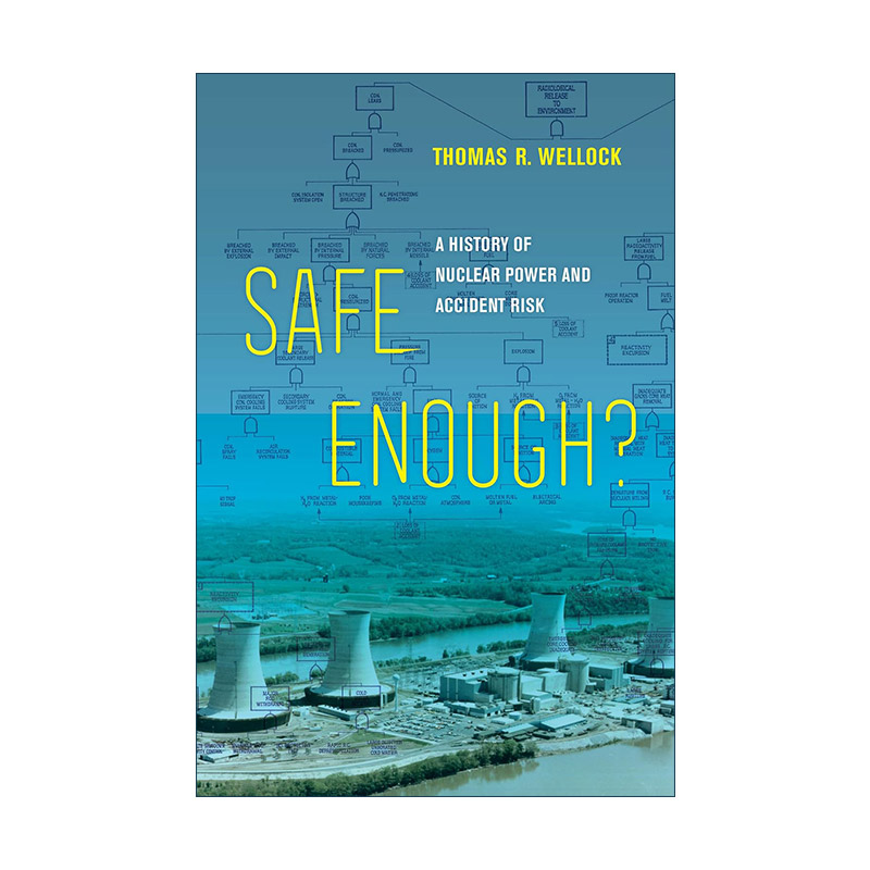 英文原版 Safe Enough 够安全吗 核电和事故风险的历史 Thomas R. Wellock 精装 英文版 进口英语原版书籍