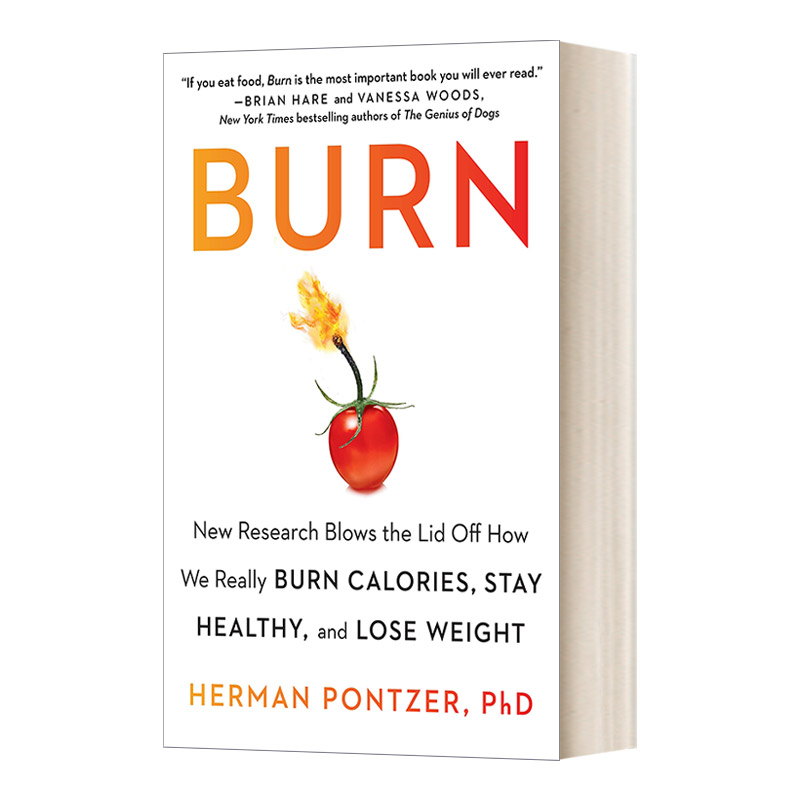 英文原版 Burn Burn Calories Stay Healthy Lose Weight燃烧燃烧卡路里保持健康和减肥英文版进口英语原版书籍