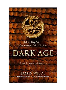 英文原版 Dark Age 黑暗纪元三部曲2 James Wilde奇幻小说 英文版 进口英语原版书籍