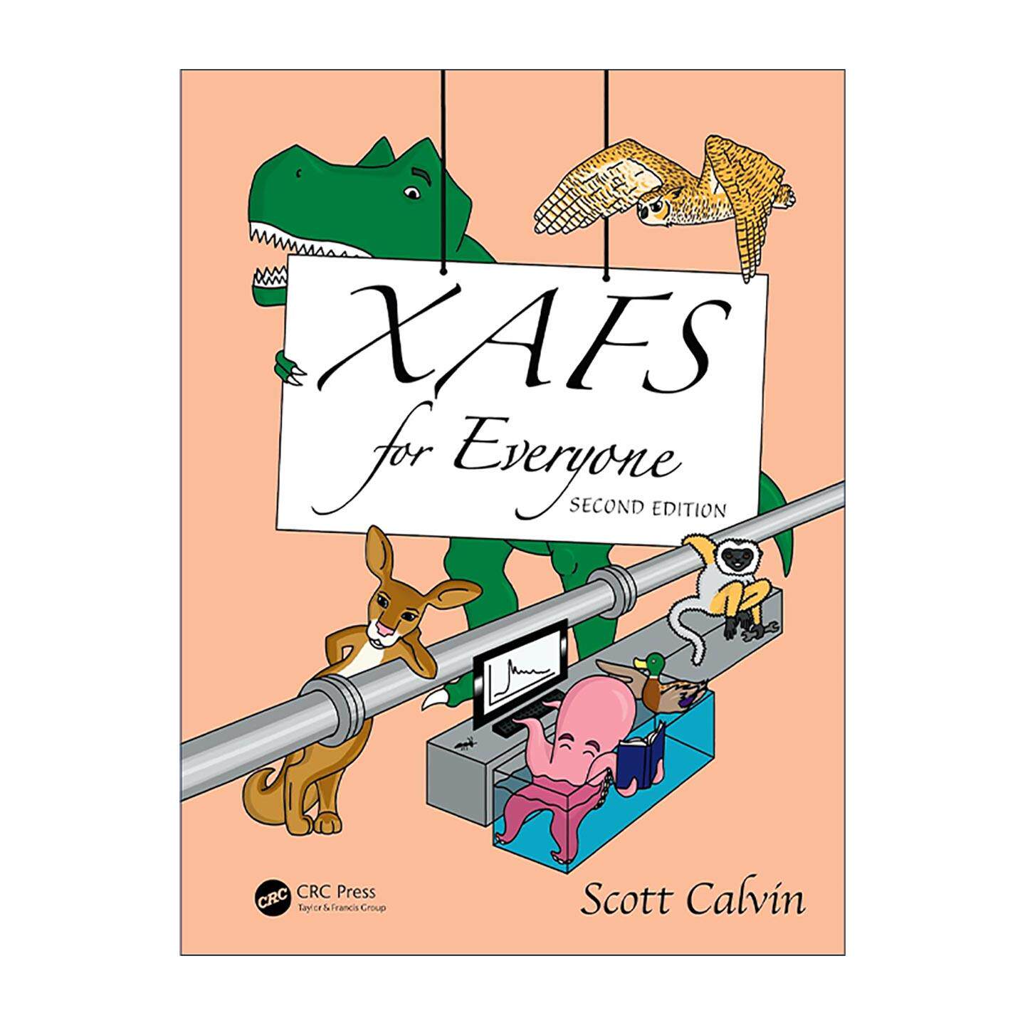 英文原版 XAFS for Everyone X射线吸收精细结构谱 第2版 精装 英文版 进口英语原版书籍