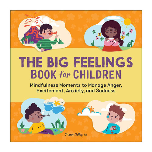 英文原版 The Big Feelings Book for Children 儿童情绪大书 图解指南绘本 正确处理悲伤 焦虑 担忧等情绪 进口英语原版书籍