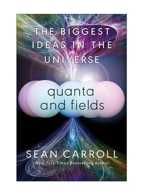 英文原版 Quanta and Fields 量子与场 物理学 大图景作者Sean Carroll肖恩·卡罗尔 精装 英文版 进口英语原版书籍