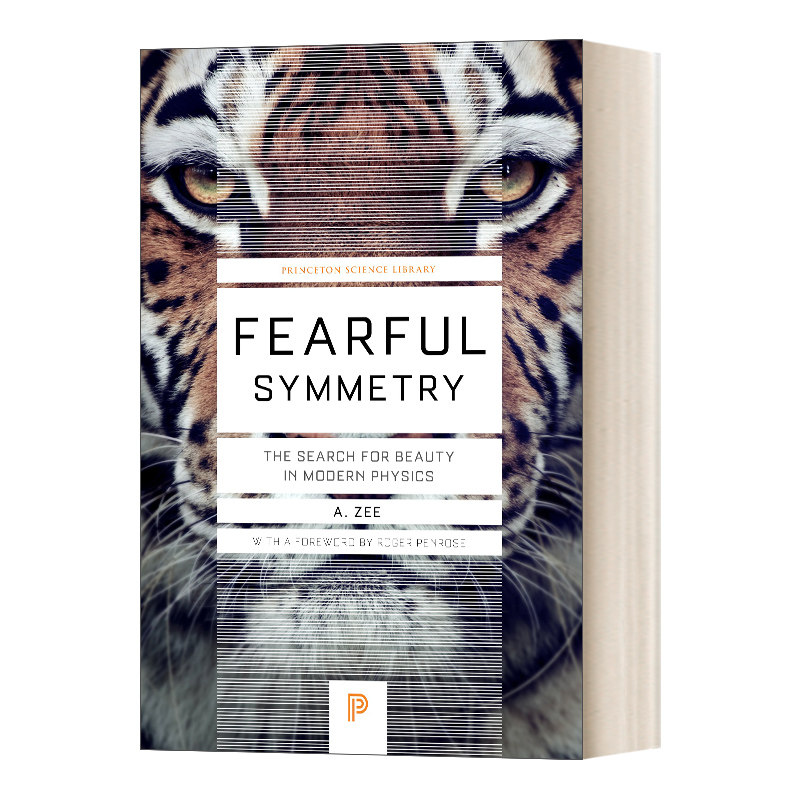 可畏的对称 探寻现代物理学的美丽 Fearful Symmetry 徐一鸿A Zee 英文原版科学读物 进口英语书籍