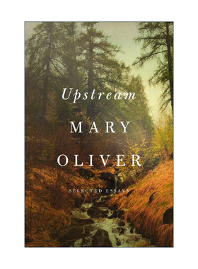 英文原版 Upstream 英文版 进口英语原版书籍