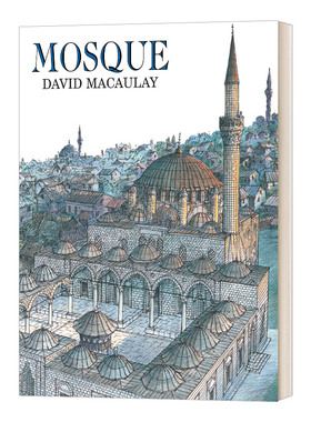 Mosque 清真寺 凯迪克奖作者大卫麦考利古建筑