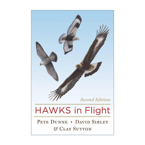 Hawks in Flight 飞行中的鹰 第2版 精装