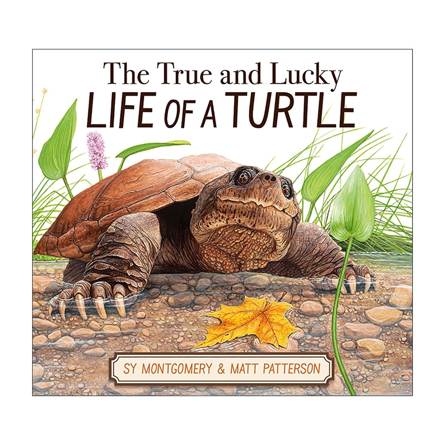 英文原版 True and Lucky Life of a Turtle 乌龟真实而幸运的一生 精装科普 美国知名博物学家Sy Montgomery 进口英语原版书籍