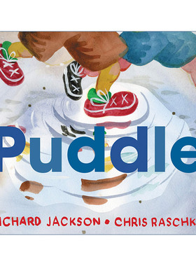 Puddle 水坑 凯迪克奖得主克里斯拉斯卡 精装绘本