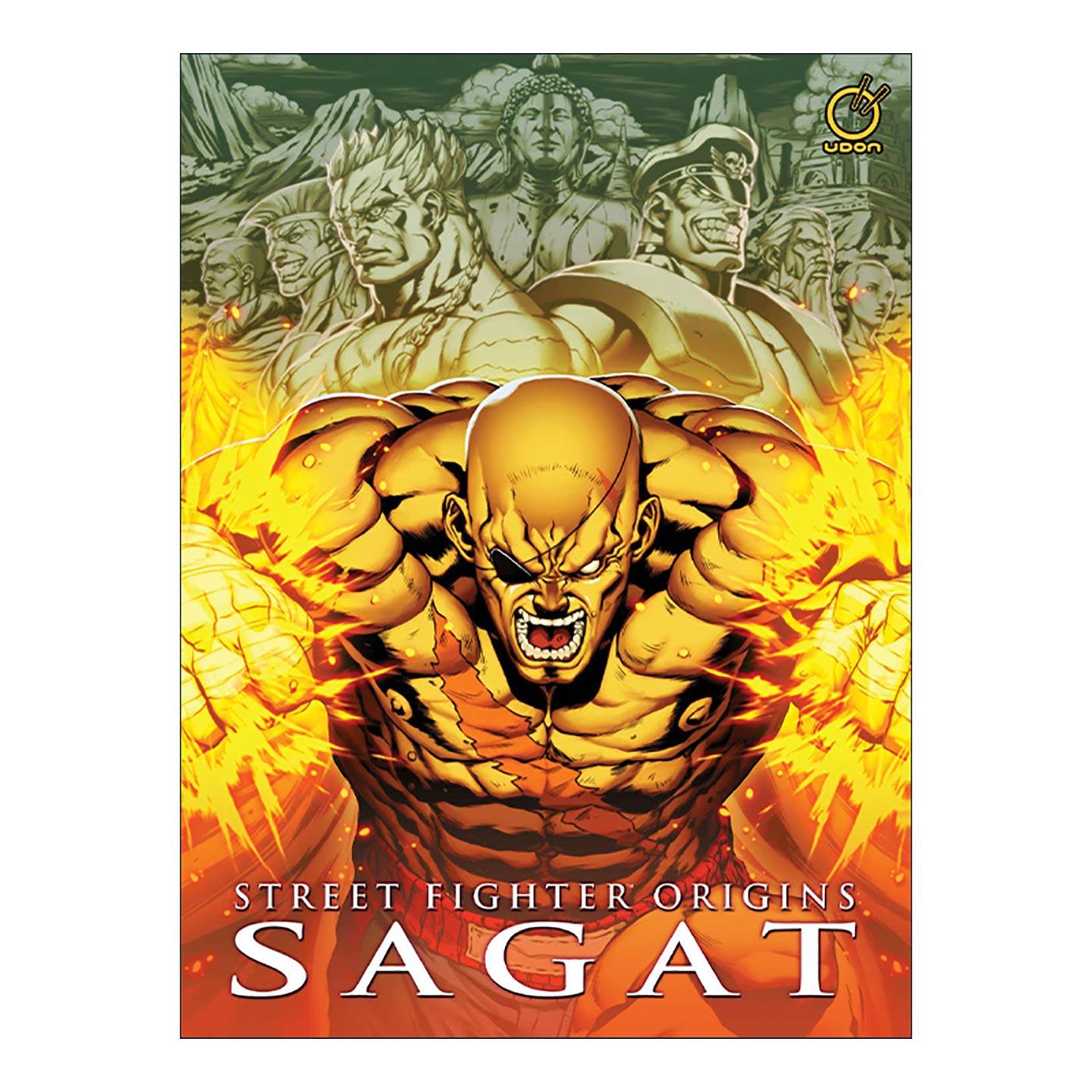 英文原版 Street Fighter Origins Sagat 街头霸王起源 沙卡特传 精装 英文版 进口英语原版书籍