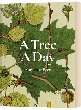 自然植物百科科普彩图图集 精装 A Tree A Day Amy-Jane Beer 英文原版科普读物 进口英语书籍