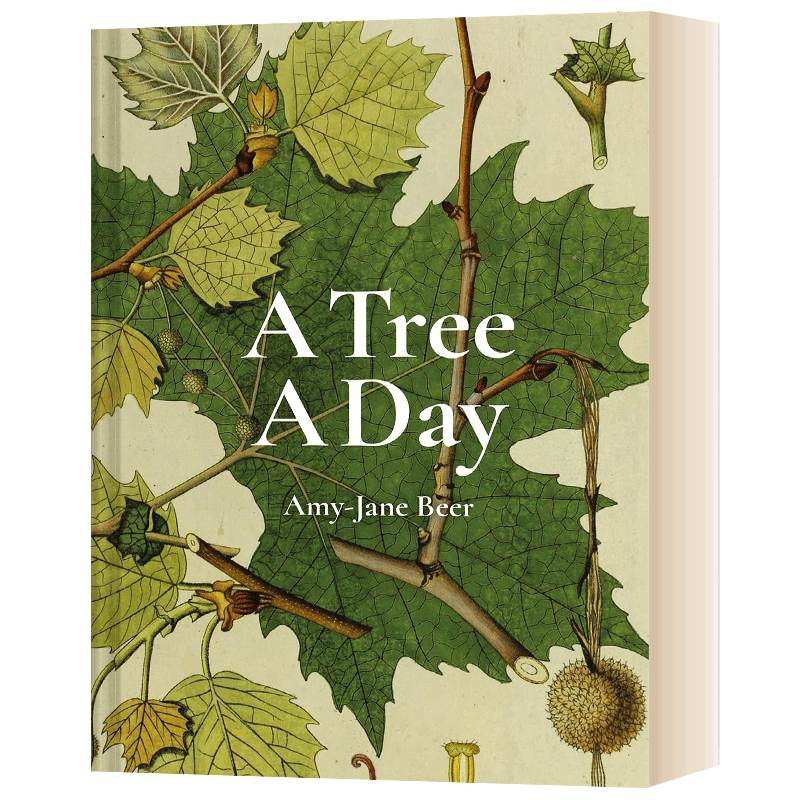 每天一树ATreeADay英文原版