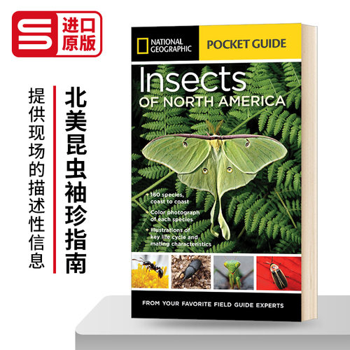 国家地理北美昆虫袖珍指南英文版