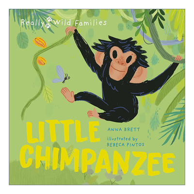 英文原版 Little Chimpanzee A Day in the Life of a Baby Chimp 小黑猩猩 黑猩猩宝宝的一天 动物主题精装儿童绘本 进口英语书籍
