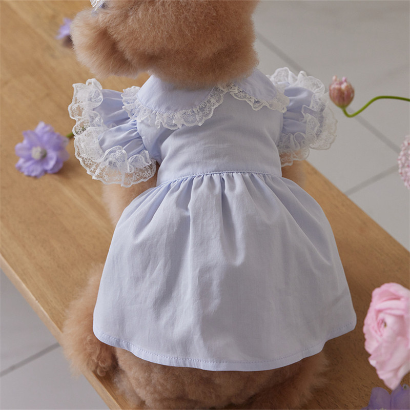 宠物衣服狗狗猫咪春夏蕾丝飞袖淑女款连衣裙厂家小体泰迪比熊
