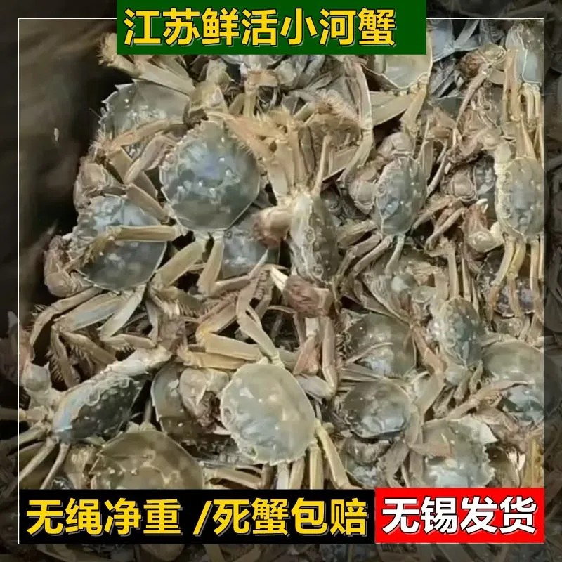 六月黄小螃蟹活蟹老头蟹母蟹公蟹大闸蟹鲜活无绳净重0.3-1.2两