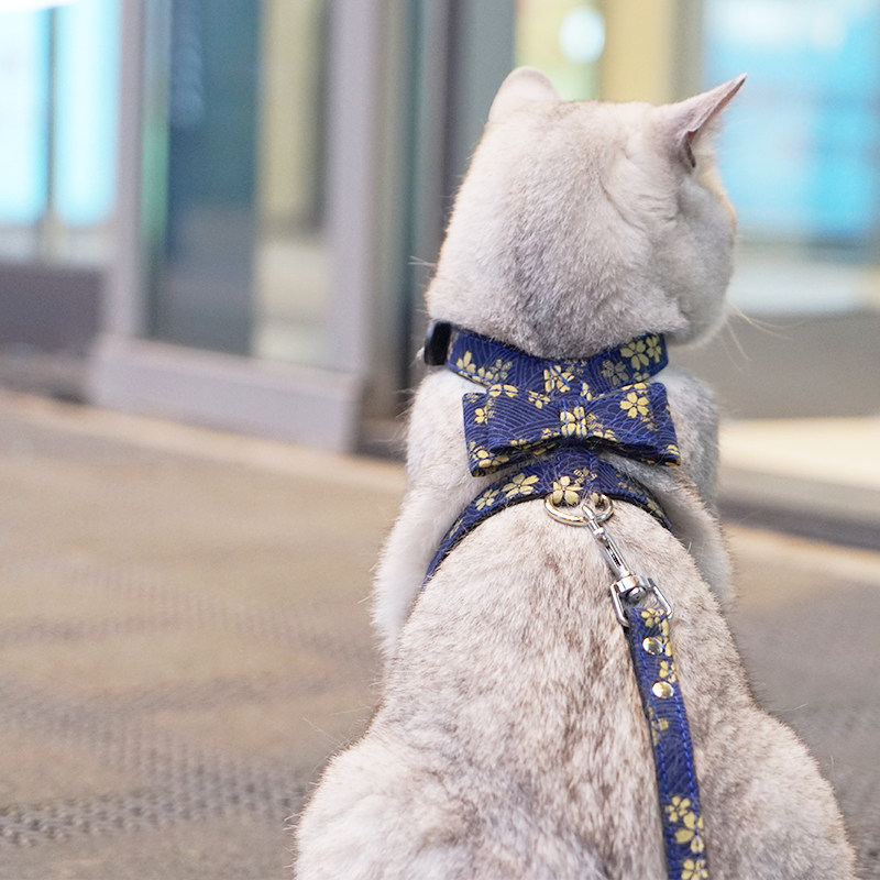 猫咪牵引绳猫咪专用防挣脱猫背带猫链猫绳子猫牵引溜猫绳猫咪用品|msdalam kategori haiwan peliharaan/makanan haiwan dan bekalan, Cat/anjing harian, rantai rumah - dari Buy2taobao.com untuk memberikan perkhidmatan ejen Taobao profesional membeli